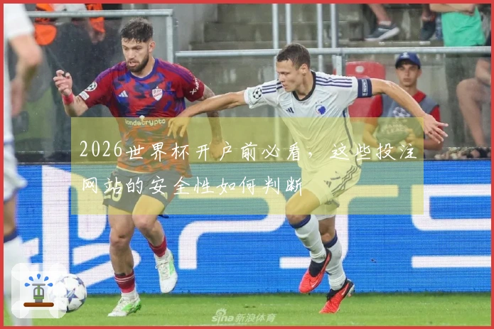 2026世界杯开户前必看，这些投注网站的安全性如何判断