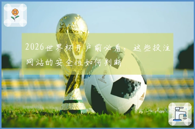 2026世界杯开户前必看，这些投注网站的安全性如何判断