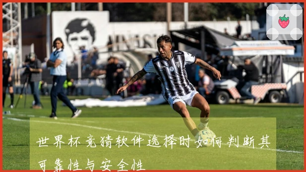世界杯竞猜软件选择时如何判断其可靠性与安全性
